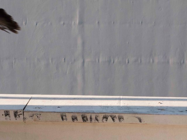 telltale glyph, signs of life